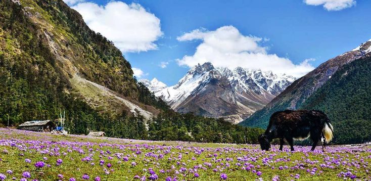 Ride Beyond the Clouds: 7-Day Adventurous Sikkim Bike Expedition Tour Package